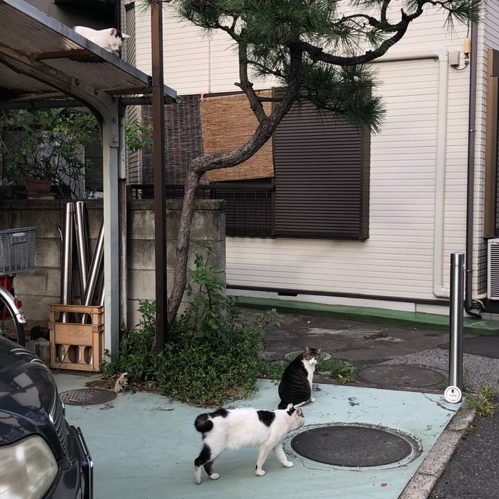 654d1773 78c4 4d29 bcbc ad2513f041f2 1535656848055