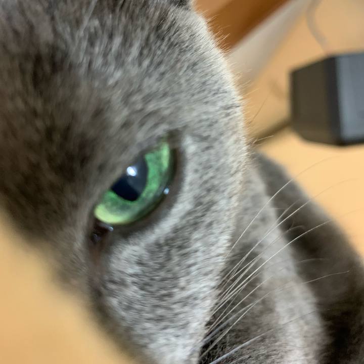 654d41f1 f1cf 45b9 ab16 924ddc360997 1597497529526