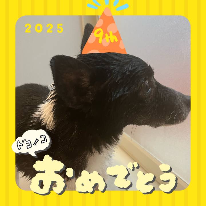 654d4de3 a7cf 44e6 b6dd 17d2483f2aa2 1749687498338