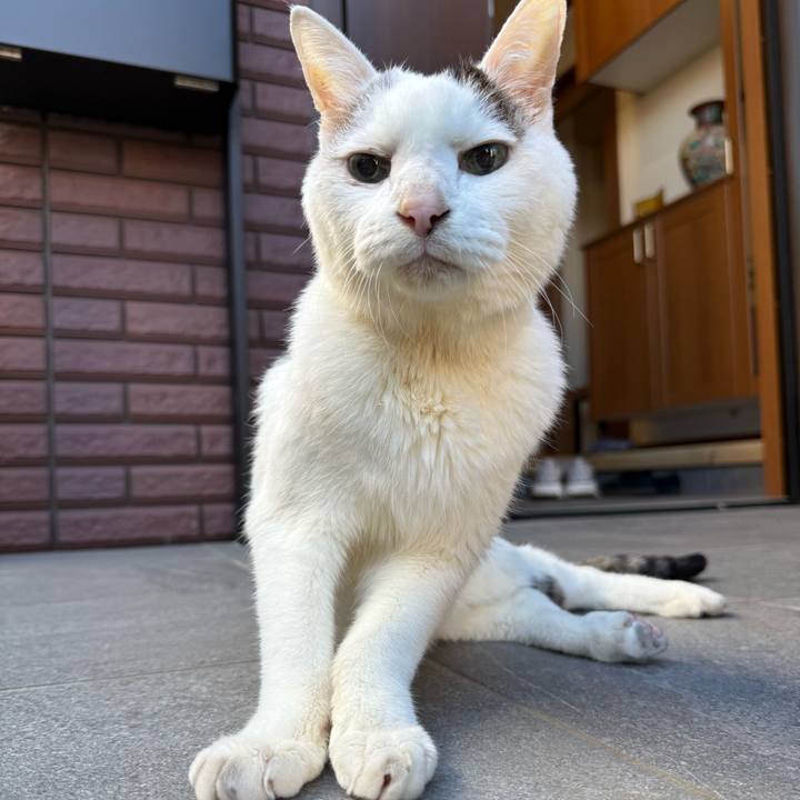 654d52bc 2757 4e80 88e9 3ea3643ee96a 1769304045209