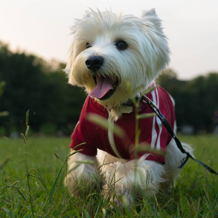 654d5864 aeda 4723 9703 13e504b21e55 1537101804395