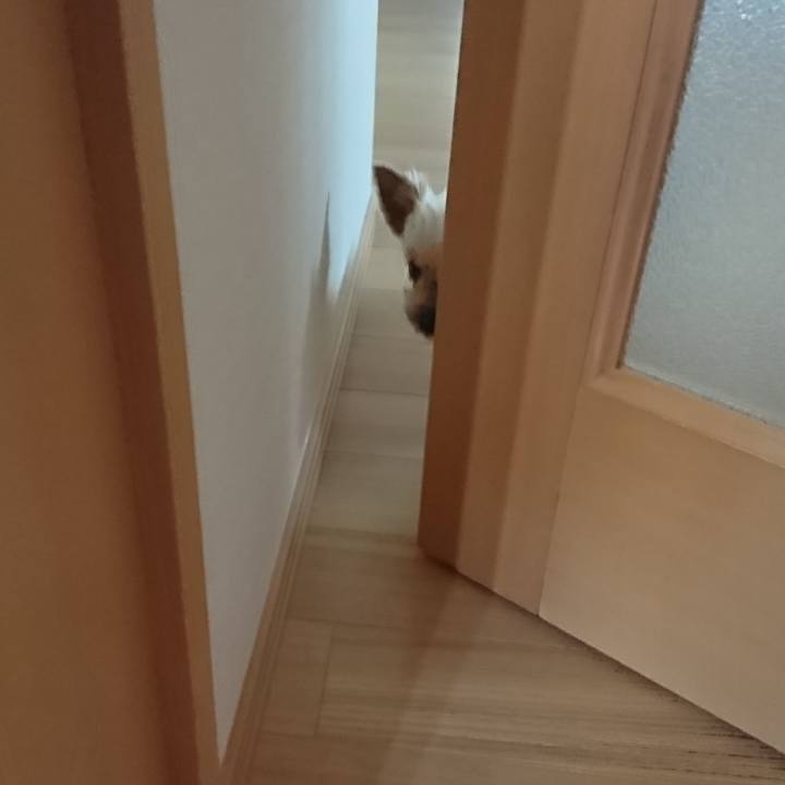 654d59cf d8af 4949 bf73 7c1bcd1edeae 1546668386037