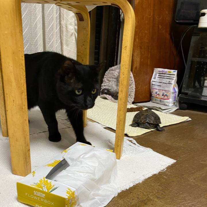 654d6f1b f8a8 4a06 9e60 7787ca8ce3d9 1658911314443