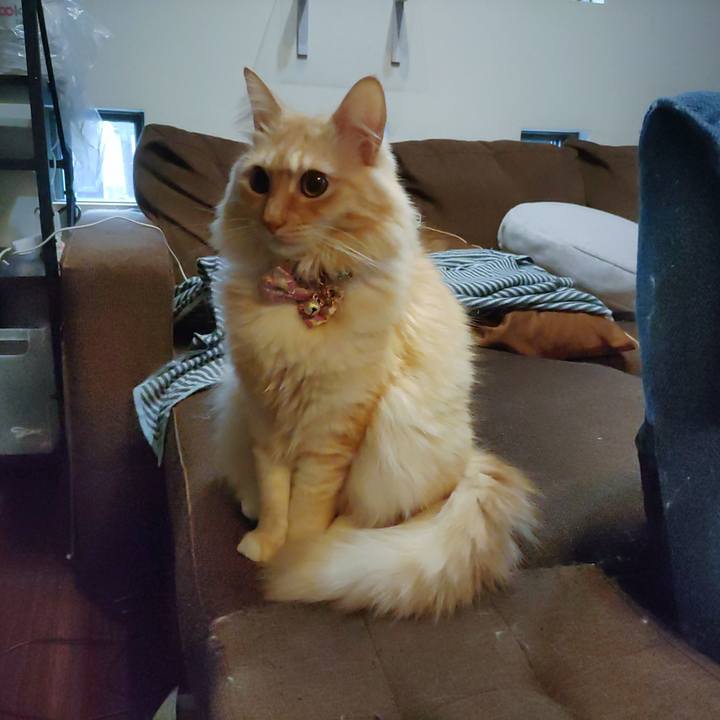 654d6f91 109d 4d56 97b2 d8462f11d7bd 1665093530689