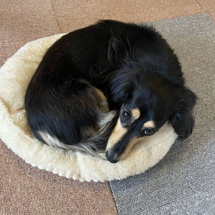 654d76e4 3898 47e0 b412 e93a083bfea6 1745386174952