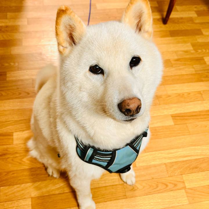 654d9459 8b6b 49a6 be15 422ee7e2906f 1682818226677