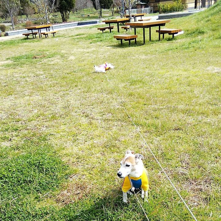 654d97f3 9144 472b 8f3c 8a477f8805a8 1582440221826