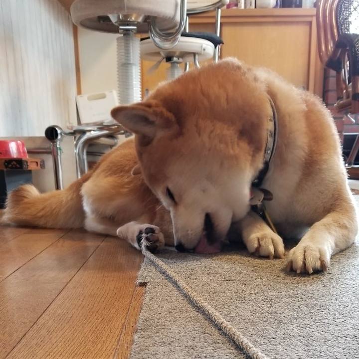 654d9c7b 2542 4cca 8193 7eb44a2cb567 1601165451226