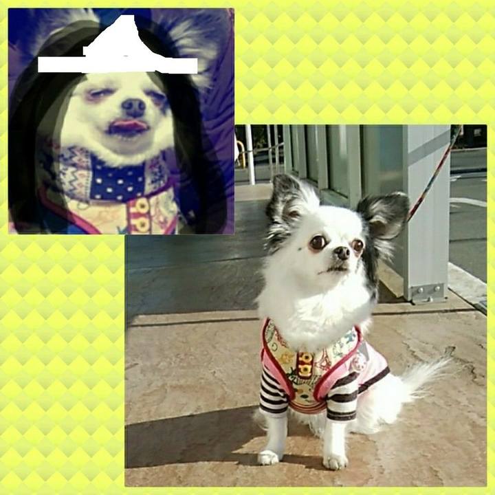 654da7d3 d305 4e71 87ca c08a34d0440d 1518870451176