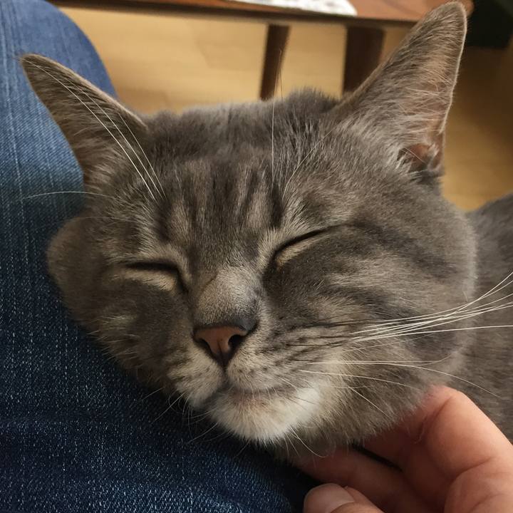 654db241 a6b2 482f 8df4 e39568076909 1546703524072