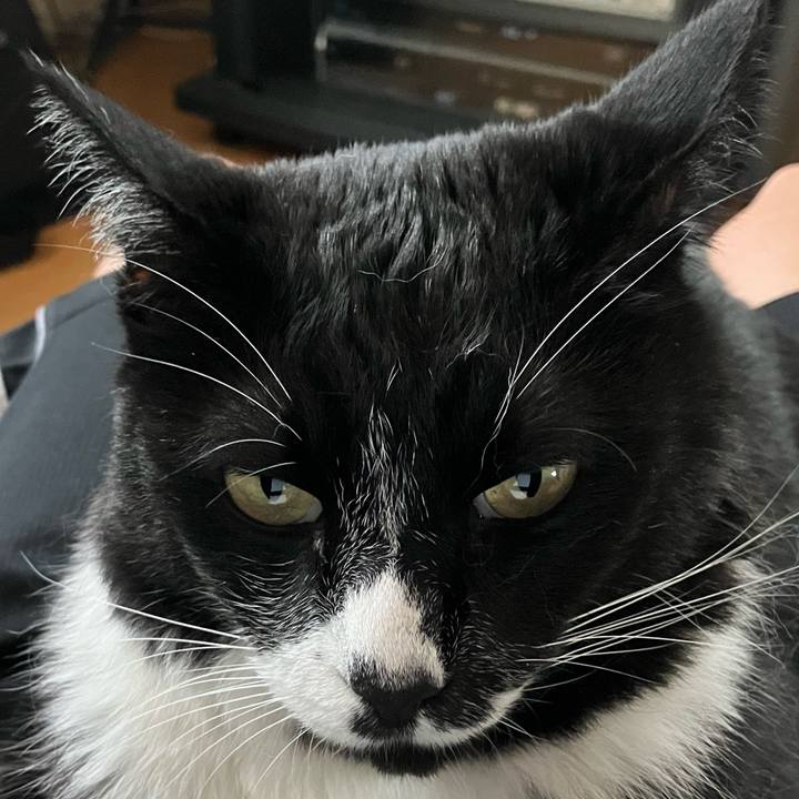 654dcc97 3043 49c8 9d06 7c4e3966c45e 1757908188459