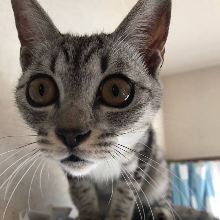 654e18f8 c9b1 40e4 ac8b 265d8347850c 1574148149721