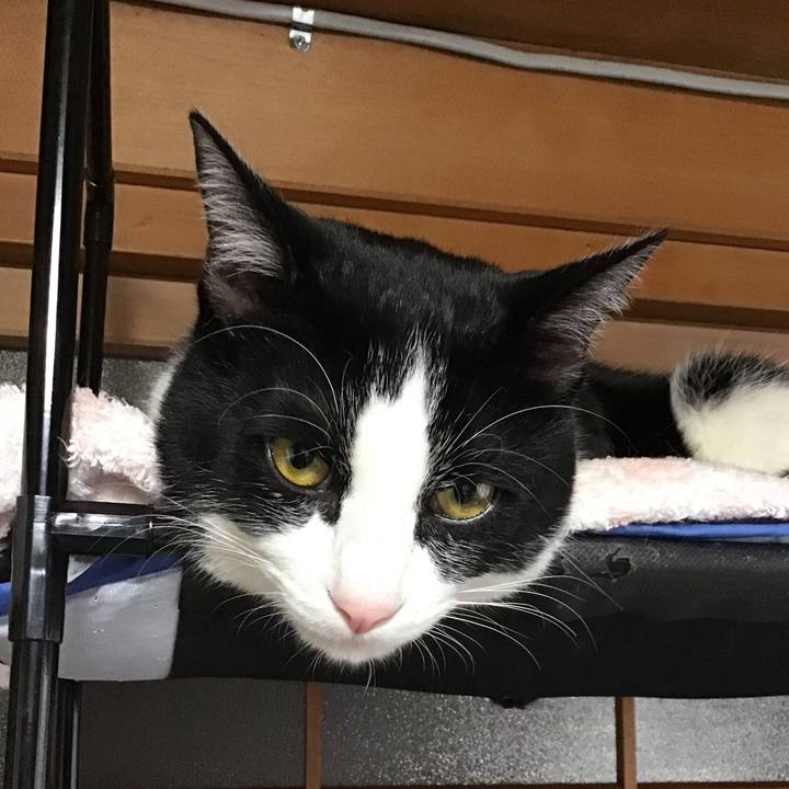 654e1cd7 3cb2 4494 9fc6 0d2d1aa783f9 1647827517163