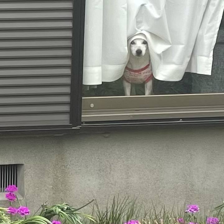 654e2b82 b327 4db0 87ca 1caa01e73eb2 1619828041892