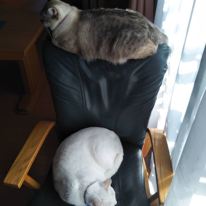 654e70af eba0 4c09 b54b c0e95a04f5cf 1603759039487