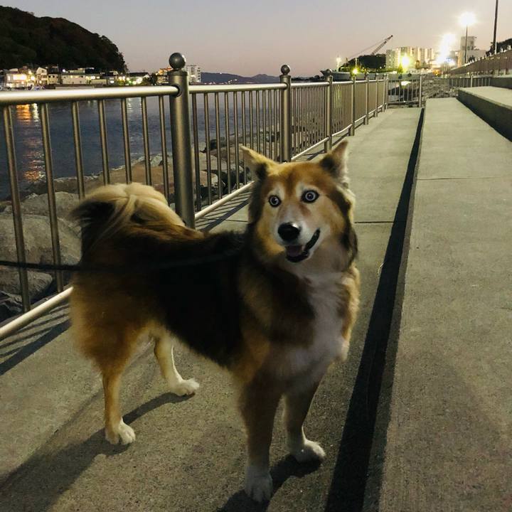 654e89dd b182 4cfa 8331 236260a3fca2 1605958485278