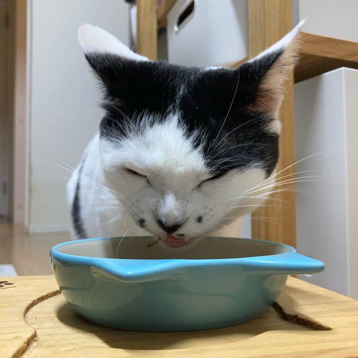 654ea6a5 e87e 42dd af6b 3c3c2c2c6e5a 1757970127989