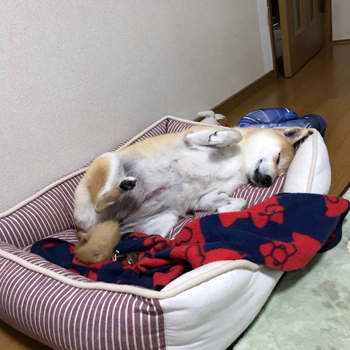 654ef974 5b31 40a1 aaad f3e7bd151f62 1543888410443