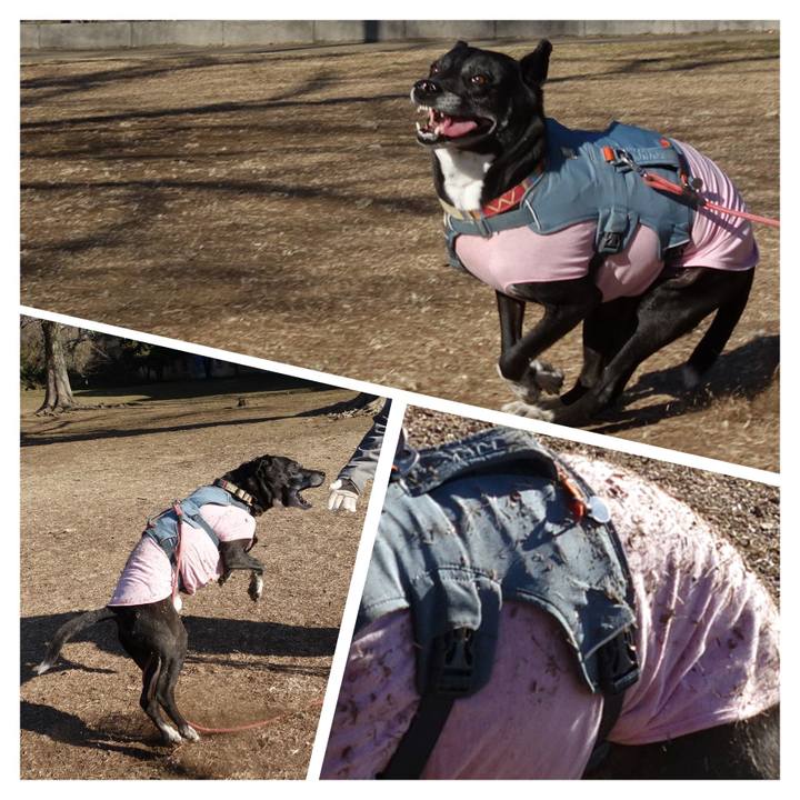 654f047d bff4 4f29 b03b 6742da6c7502 1740616699650