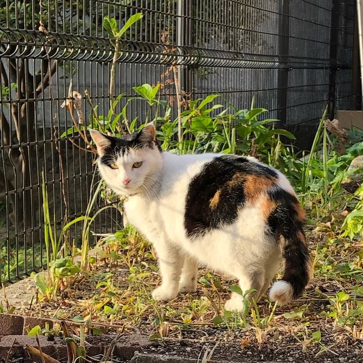 654f1c83 3026 4239 a3b6 be28a21e0e69 1607213264779