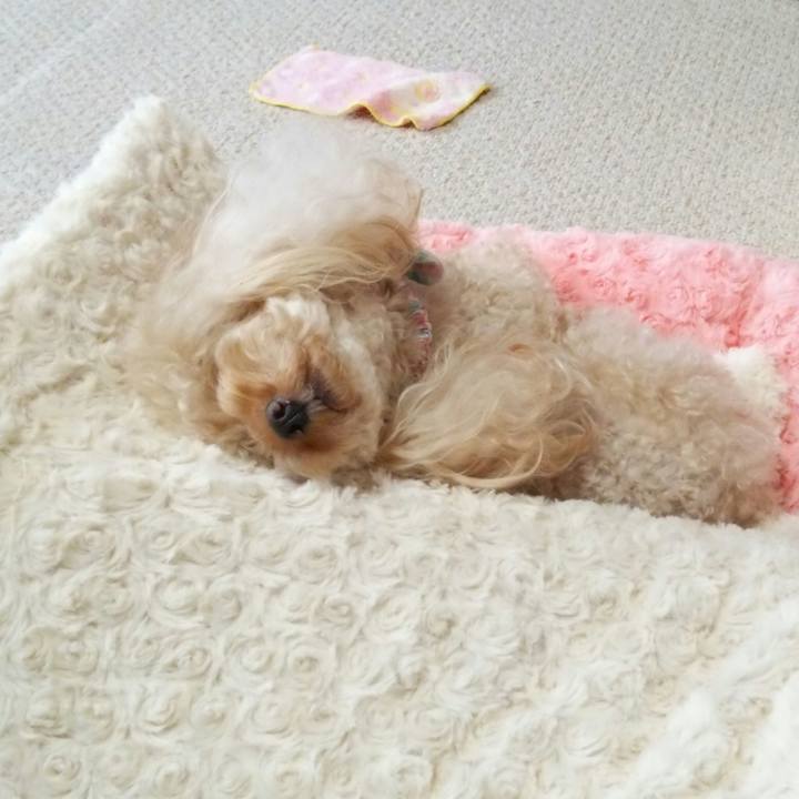 654f446f 0181 4d77 aeec 85445b29fbc8 1514332363150