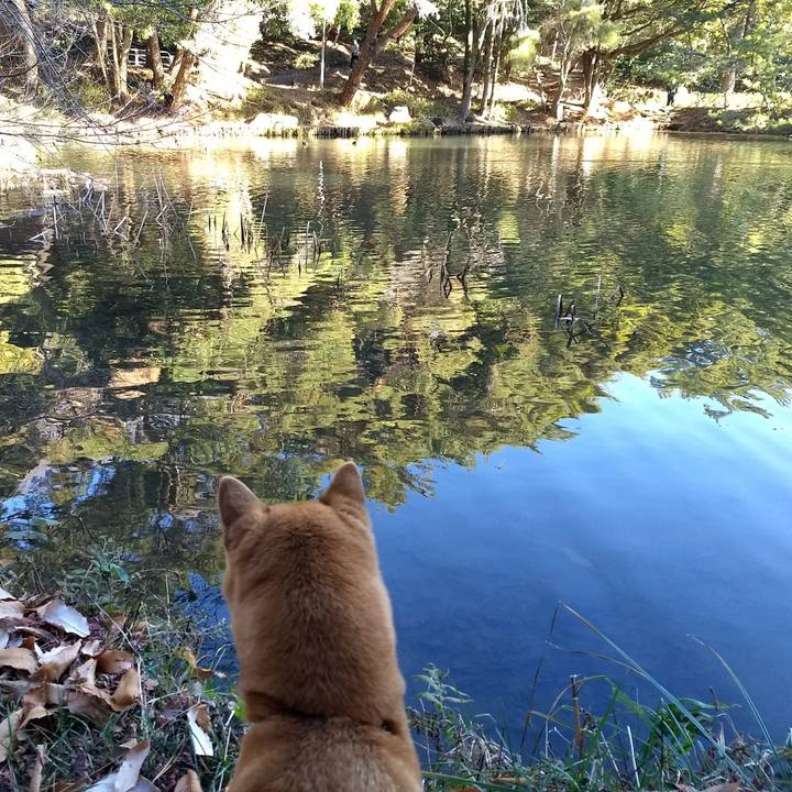 654f6e37 e601 43c1 9f9a a74fa23d44d1 1516248323082