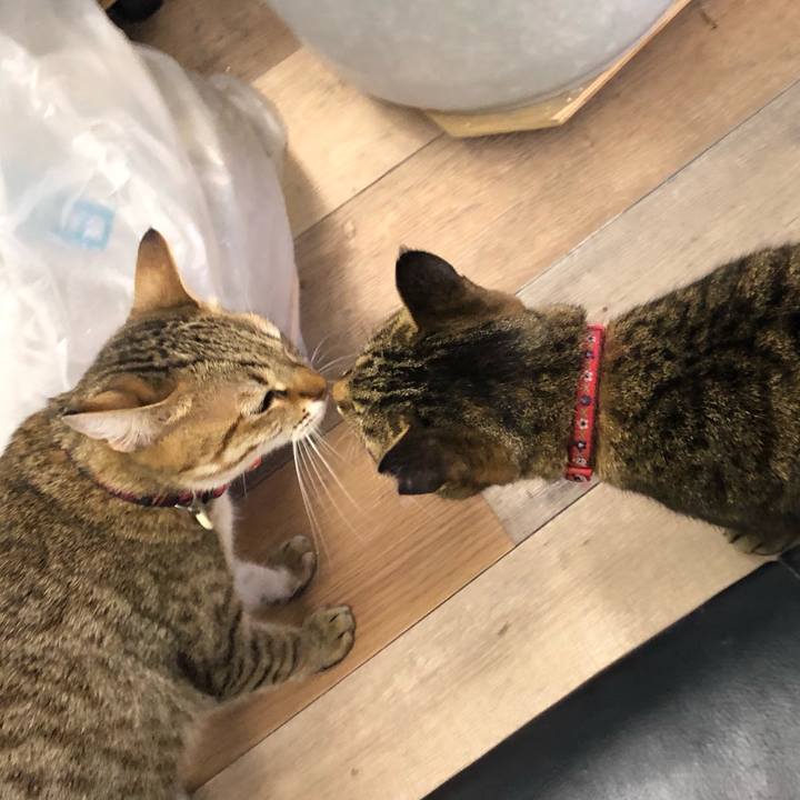 654fa157 7ccc 4bb7 810d ebd23b9d1a36 1610173582176