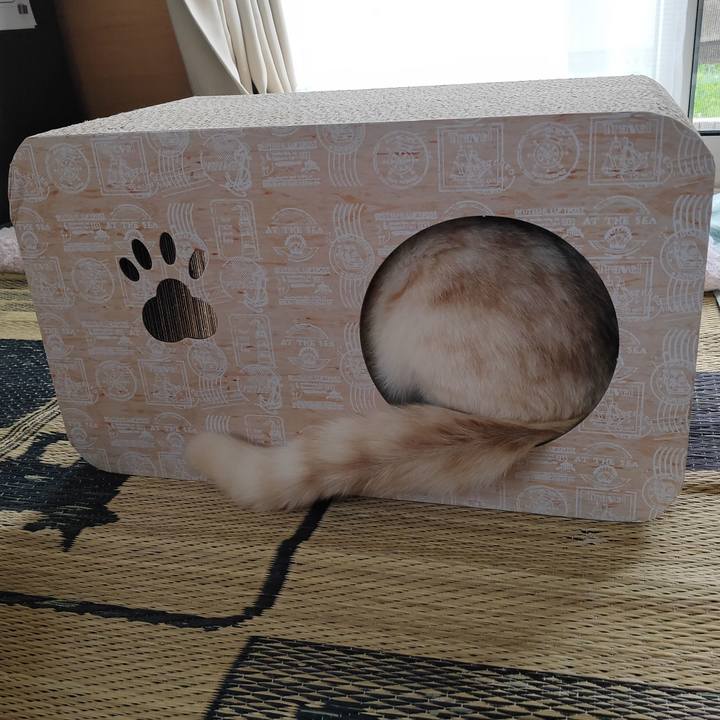 654fae7a e128 4248 be72 6776abe48733 1658120944982