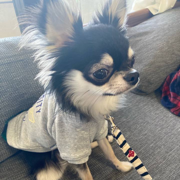 654fb939 6e15 4538 a764 b0f3d61a995e 1606019877287