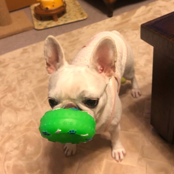 654ff945 16e6 4912 8766 473d014dfea7 1554208318099