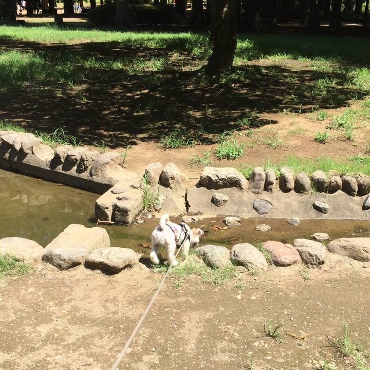 655009f7 27f2 4f41 aca1 0a7658af87f4 1534307152503