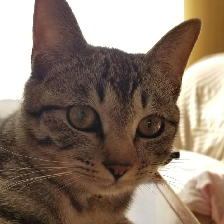 655042f0 c2dd 4bc2 9e78 d727bb1f1a3f 1677666753258