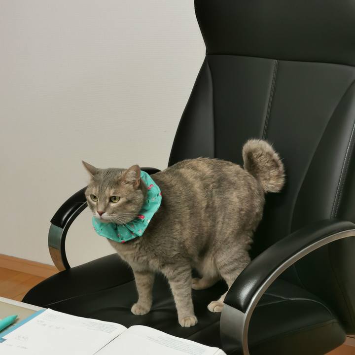 6550bf4f baf7 45f3 9db9 555781b7641c 1658374272061