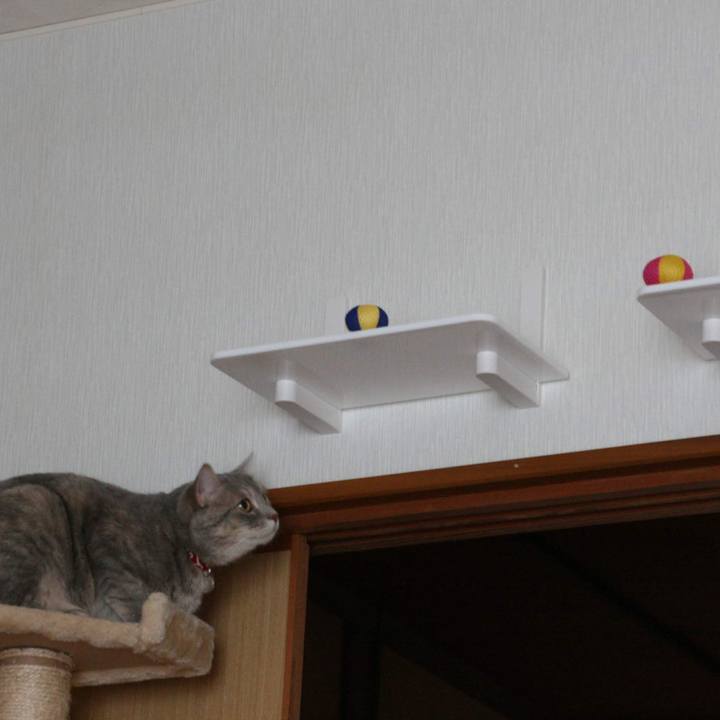 6550d3ce 0307 4887 aac7 892167b0e863 1537679647531