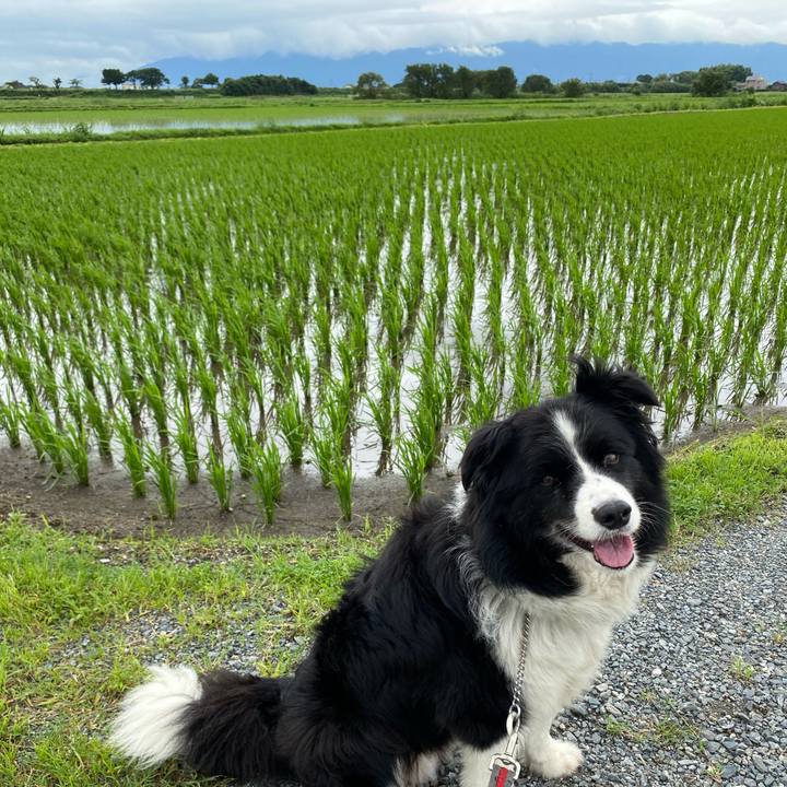 65510a39 9ec4 4d33 9874 b56e31365d69 1594773424936