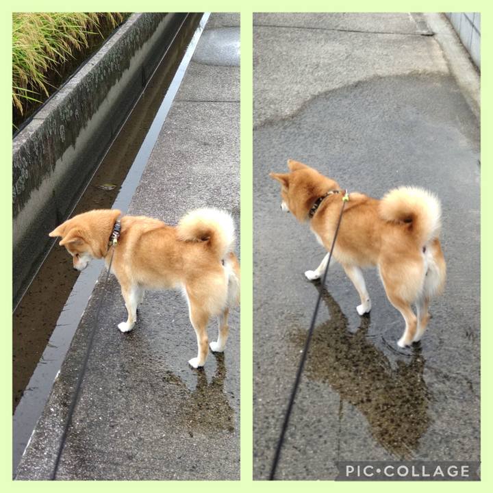 655114a9 b52e 40df 9cb2 bf6e9eb02ed5 1728023311716