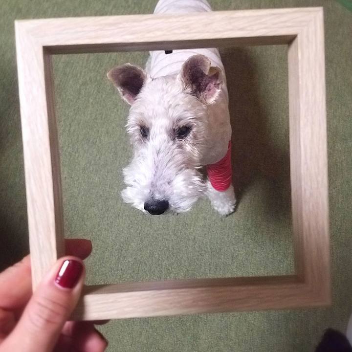 65512612 8391 46fe 8613 3eec6d7642e4 1577538471195