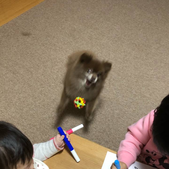 65512fab ac98 45e0 9237 31733a1baf83 1582694622989