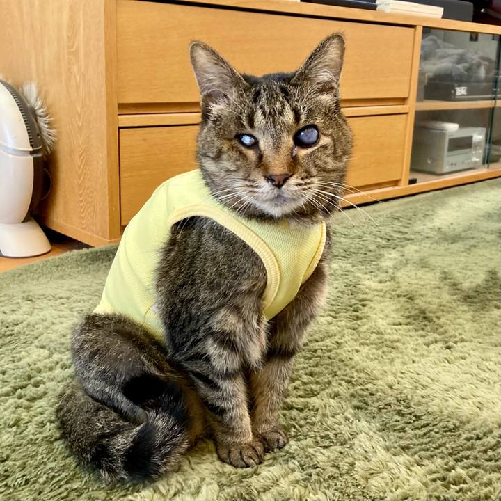 65515aea 1b1b 4c14 aeb2 7fea1dd15634 1683239513106