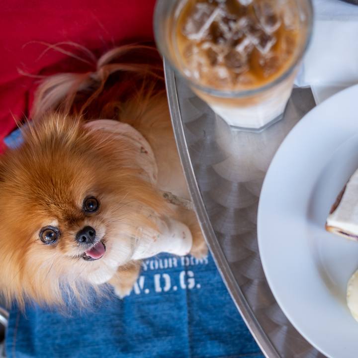 6551b035 4f4e 4a69 9d30 73dc6c99a144 1604667081750