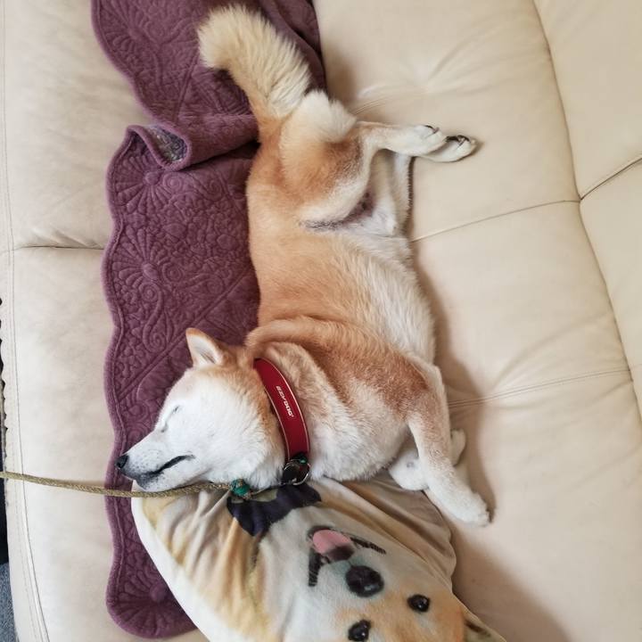 6551b6d7 b791 49ee 86bd 11cd4ec0768a 1722221258137