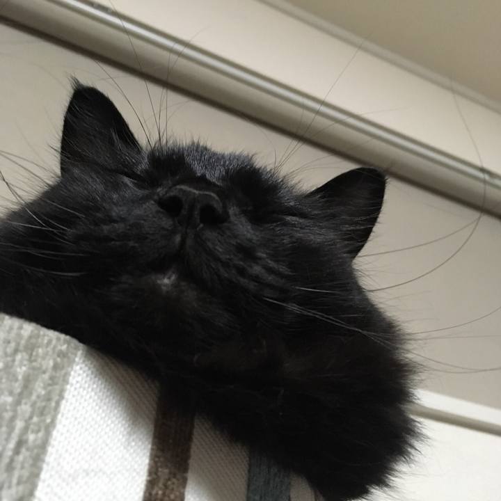 6551bcad 7abb 4758 8ac1 144423391fd1 1524583655894