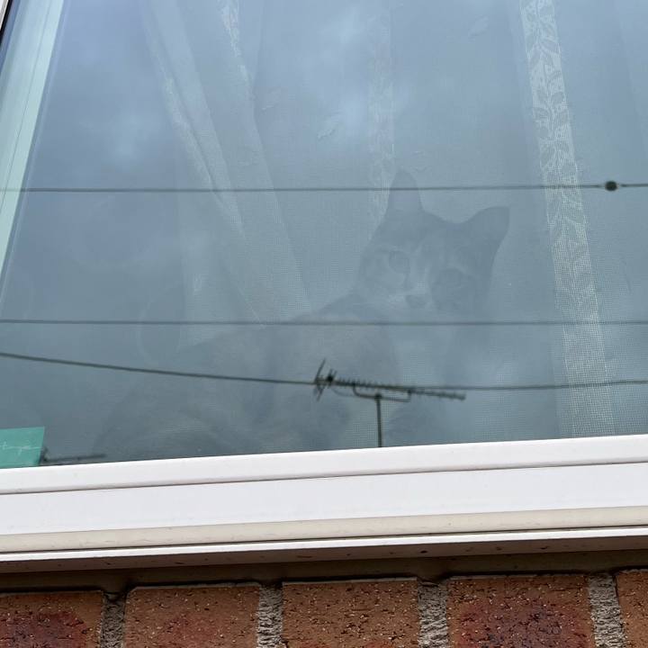 6551bf6d f382 4694 bcf7 15d0d96ebf94 1647695658657