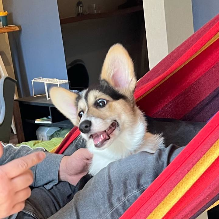 6551d109 67a3 493a 8578 d6f6744fb466 1773578990779