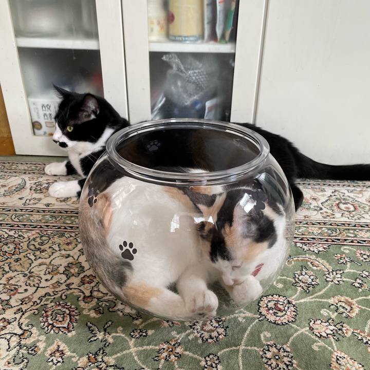 6551e782 d9c7 4c2d 938c 980a164ee20d 1722821873668