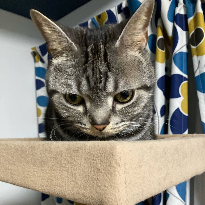 65521452 2827 4440 94a2 ba6c247d472a 1604400923900