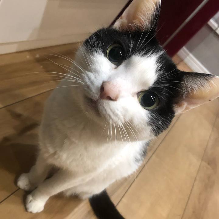 65521c0f 3121 488e 978f 1b45dcdb5b76 1680041050405