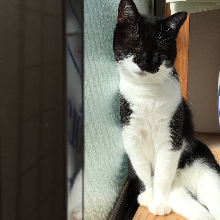 65521fef f35f 45e1 a1e3 3f06f3370c0d 1509606278392