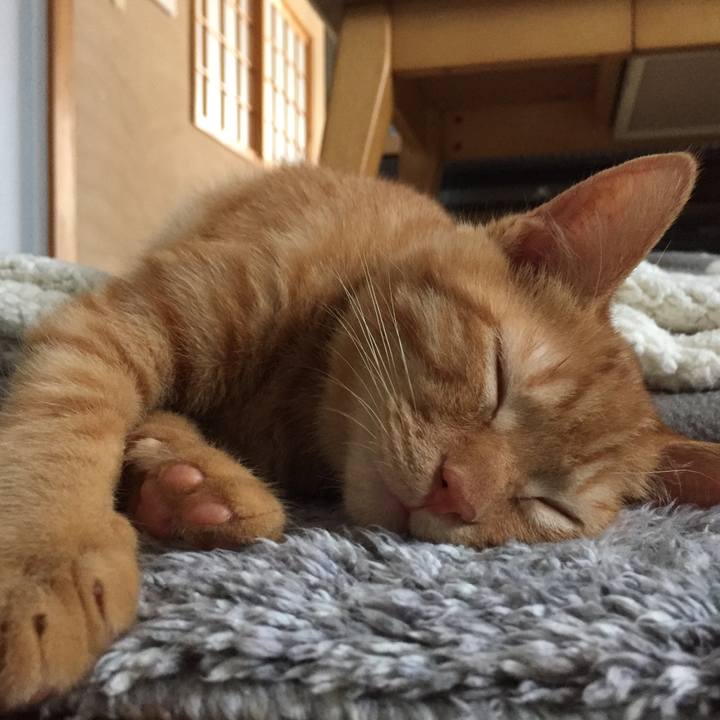 6552249c ceaa 4bea a304 eebe1362a51f 1513652500288