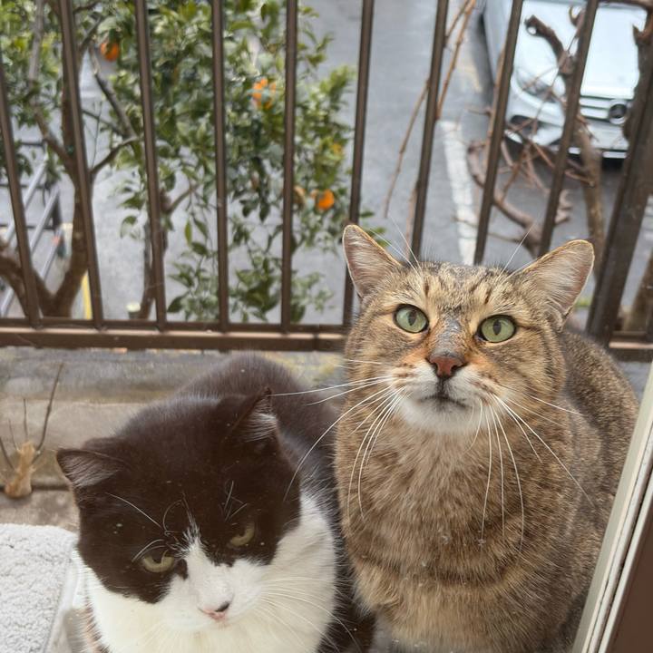 6552283b f66e 4eeb b23c 8aea1563bb9f 1770767642198